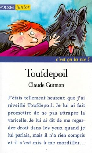 Toufdepoil